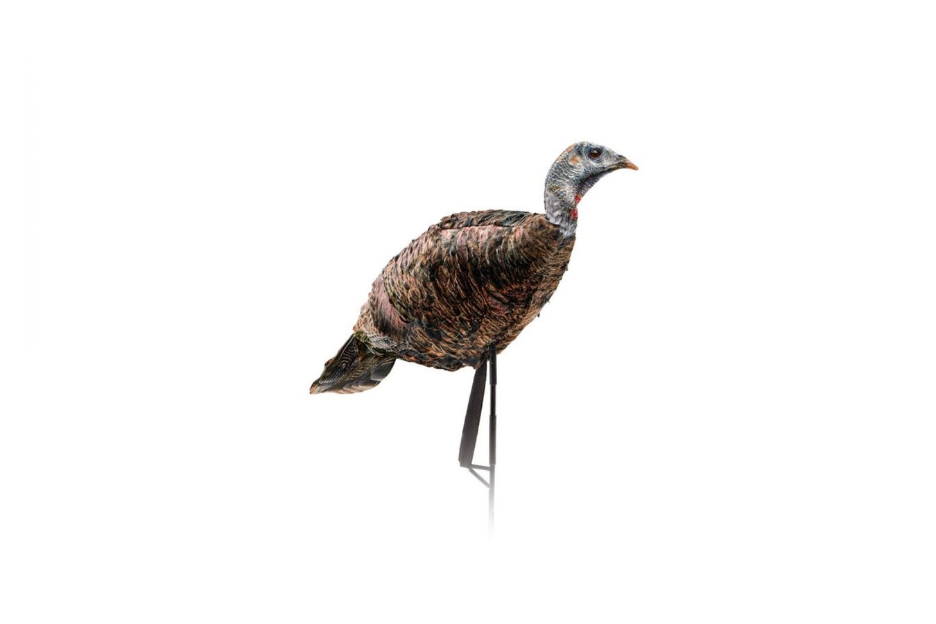 Montana Decoy Purrfect Pair XD 3D Turkey Combo